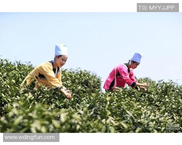 问鼎app官网下载安装-问鼎App官网下载安装指南-问鼎app官网下载安装